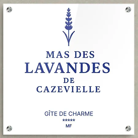 Mas Xviii En Pierres Avec Piscine Privee Proche D'uzes * Saint-Maurice-de-Cazevieille