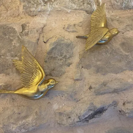 בית נופש Mas Xviii En Pierres Avec Piscine Privee Proche D'uzes Saint-Maurice-de-Cazevieille
