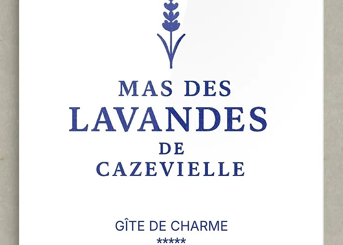 Mas XVIII En Pierres Avec Piscine Privee Proche D'Uzes * Saint-Maurice-de-Cazevieille